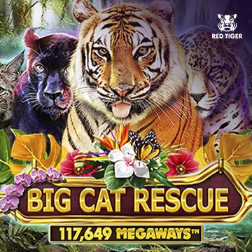 Big Cat Rescue Megaways - MOTO128