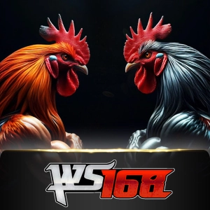 Ws168 Sabung - MOTO128