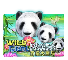 Joker123 : Wild Giant Panda - MOTO128