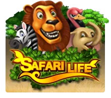 Joker123 : Safari Life - MOTO128
