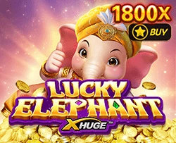 Lucky Elephant X-Huge - MOTO128