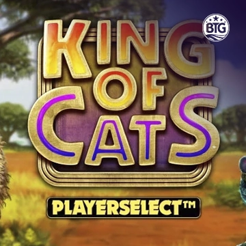 King of Cats - MOTO128