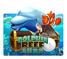 Joker123 : Dolphin Reef - MOTO128